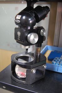 ニコン(Nikon) 実体顕微鏡 J.PAT.
