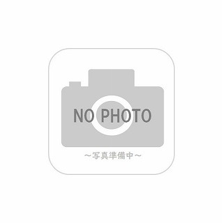 NSK ボールねじ PSS2520N1D1863-03