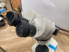 ニコン(Nikon)	 実体顕微鏡
