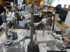 ソニー デジタルインジケーター(スタンド付) DG-100S
