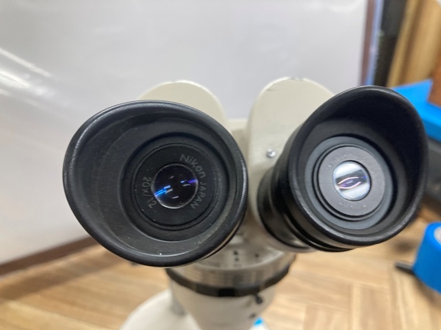 ニコン(Nikon)	 実体顕微鏡