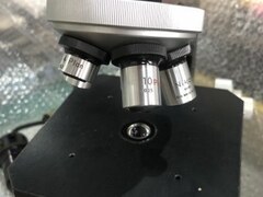 ニコン/Nikon マイクロスコープ 双眼顕微鏡 【マイクロスコープ 双眼顕微鏡】68512