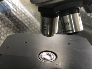 ニコン/Nikon マイクロスコープ 双眼顕微鏡 【マイクロスコープ 双眼顕微鏡】68512