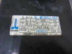 オークマ BL-MOTOR BL-MP300J-30S